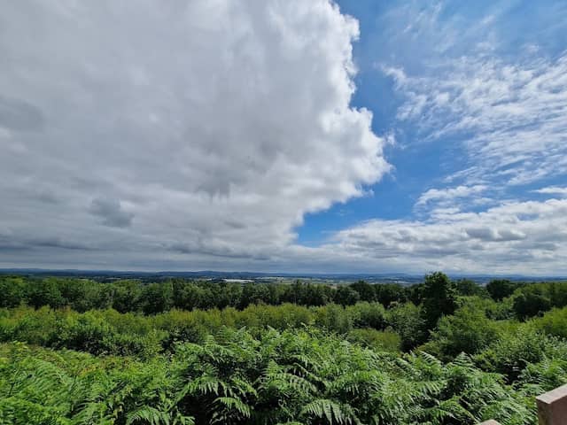 Queenswood Lookout - Image 1