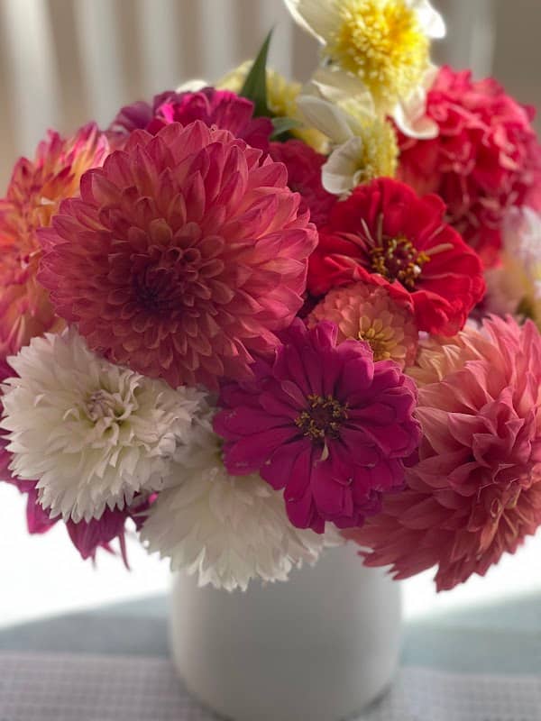 KD’s Diggin Up Dahlias - Image 2