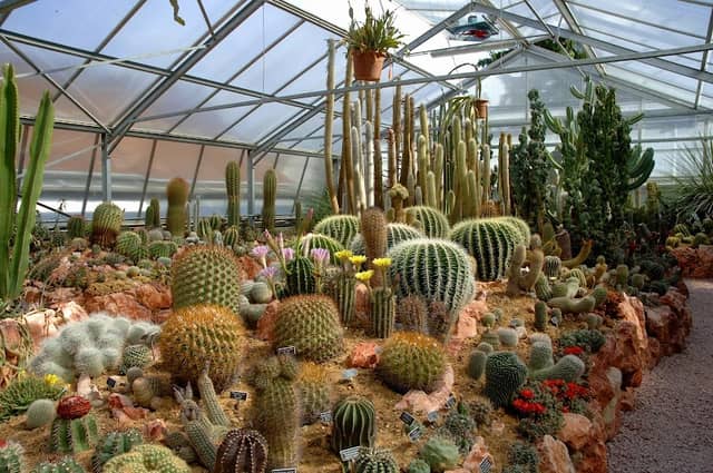JURASSICA Jardin Botanique - Image 1
