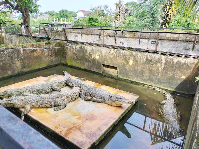 Penangkaran Buaya Asam Kumbang - Image 1