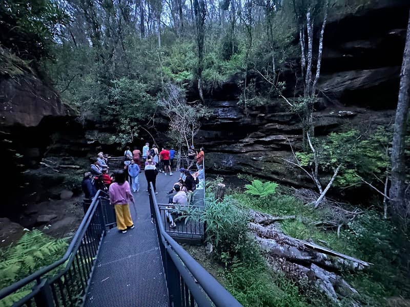 Glow Worm Glen Viewing Platform - Image 1