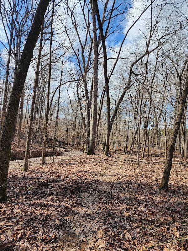 Jenny Ridge Picnic Area at Land Between the Lakes - Image 2