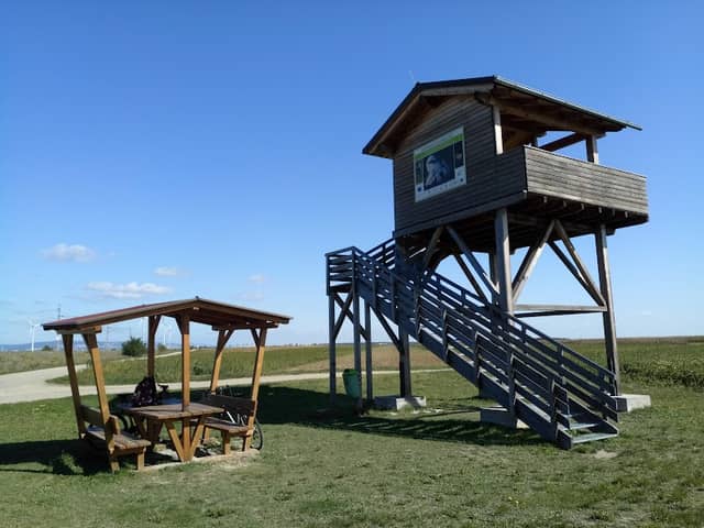 Lookout Tower - Image 1