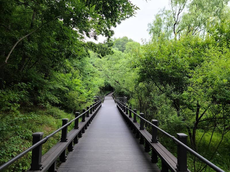 Gildong Ecological Park - Image 2