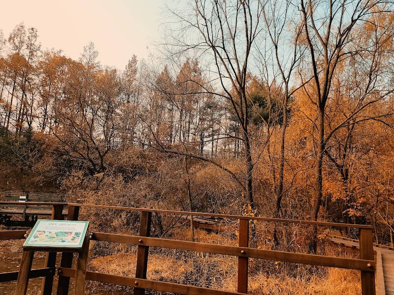 Gildong Ecological Park - Image 1