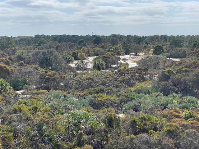 Hypoluxo Scrub Natural Area - Image 1