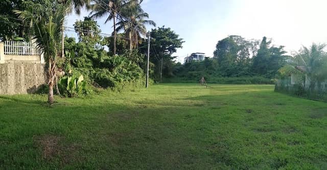 eRotaract Park - Image 1