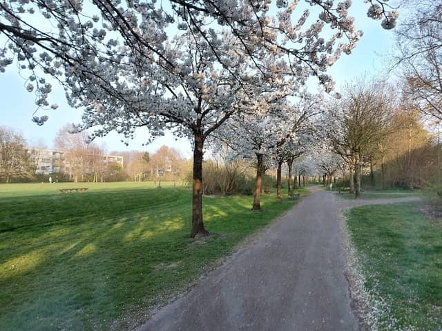 Muzenpark - Image 1