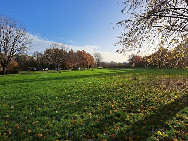 Muzenpark - Image 2