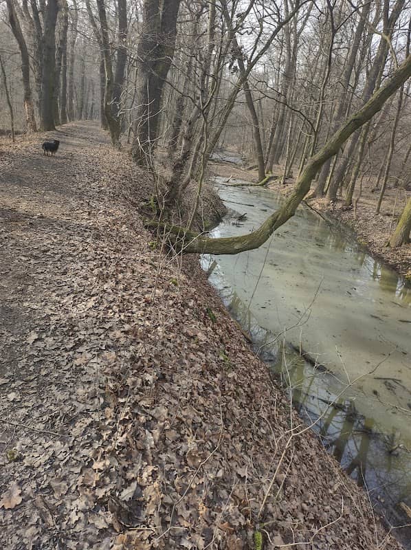Budečská hráz - Image 1