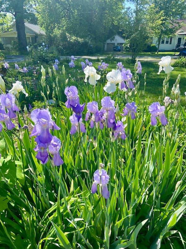 Brewington Gardens - Image 2