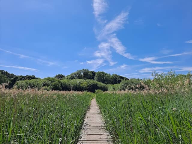Gosforth Nature Reserve - Image 1