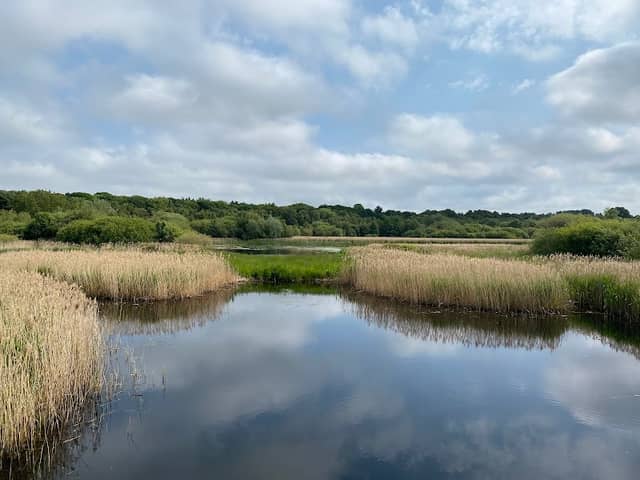 Gosforth Nature Reserve - Image 2