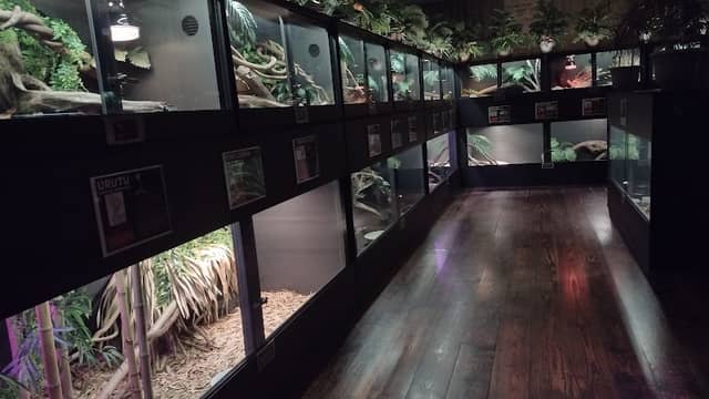 The Serpent Center - Image 1