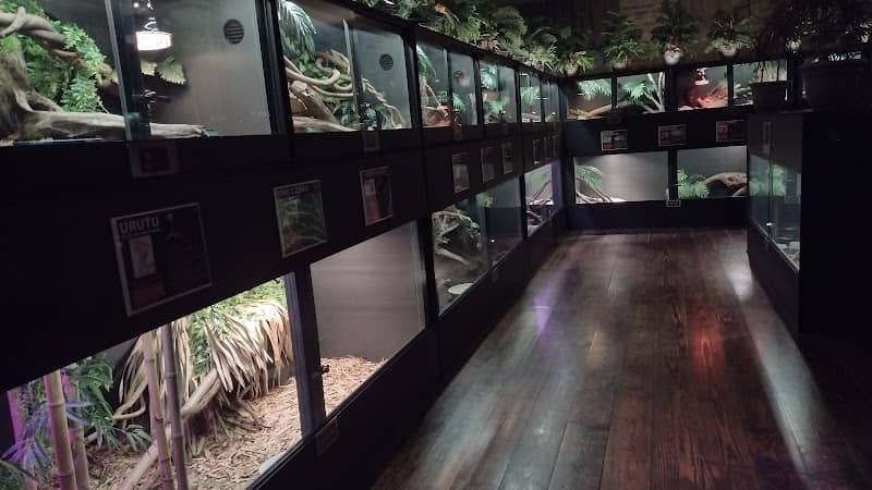 The Serpent Center - Image 1