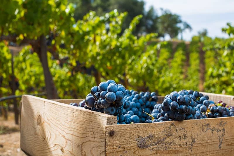 Placer County Vintners Association - Image 2