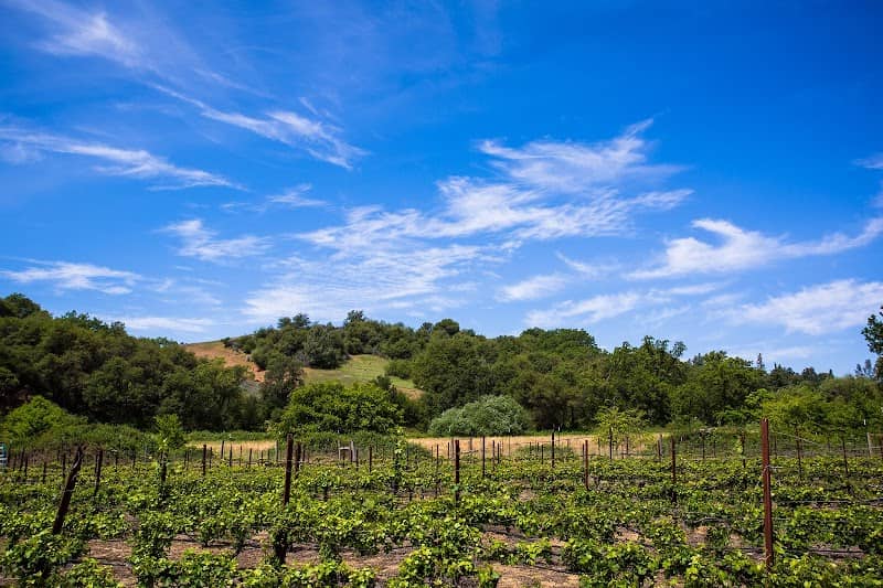 Placer County Vintners Association - Image 1