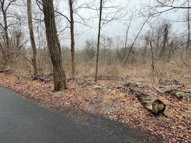 Trail Marker - Image 1