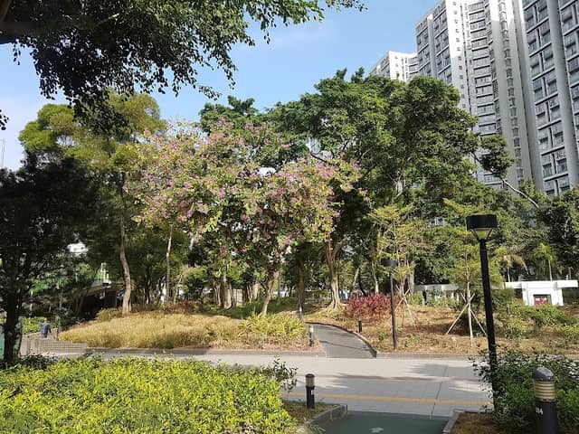 Laguna Park - Image 1