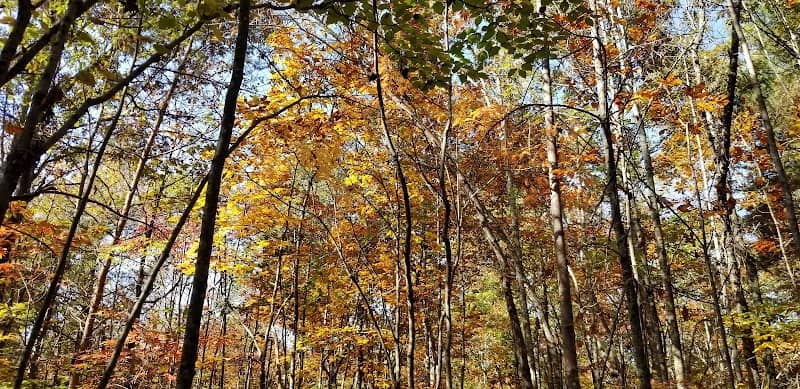 Point Park - Image 1