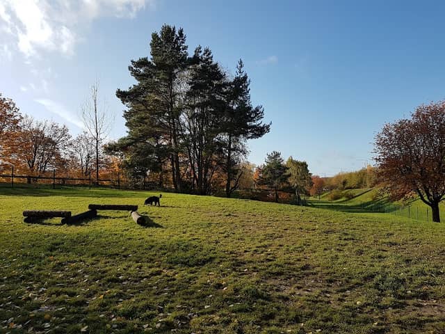dog park - Image 1