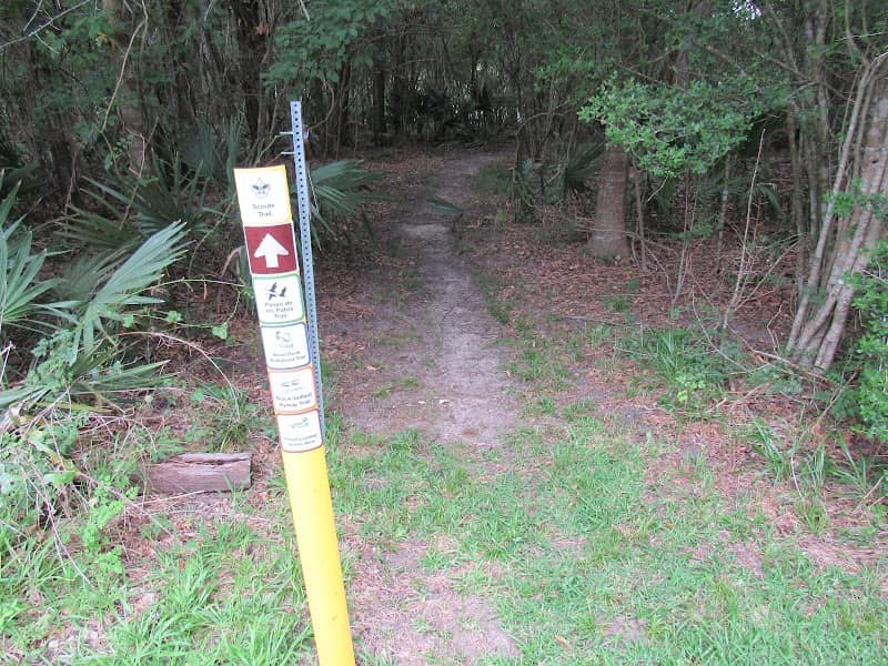 Scouts Trail Trailhead - Image 1