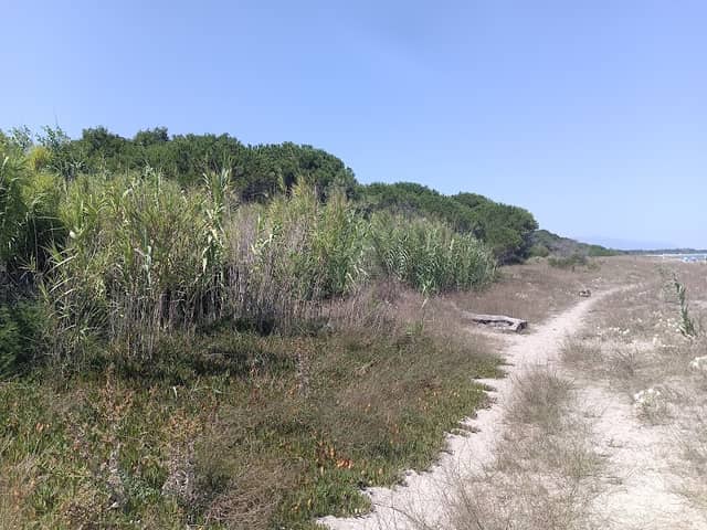 Plage de Anghione - Image 1