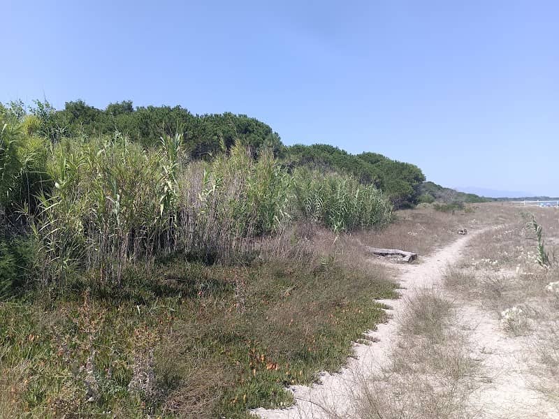 Plage de Anghione - Image 1