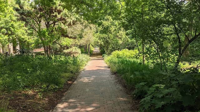 Coker Arboretum - Image 1