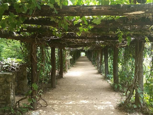 Coker Arboretum - Image 2