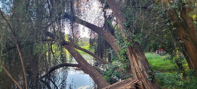 The Lake - Image 1
