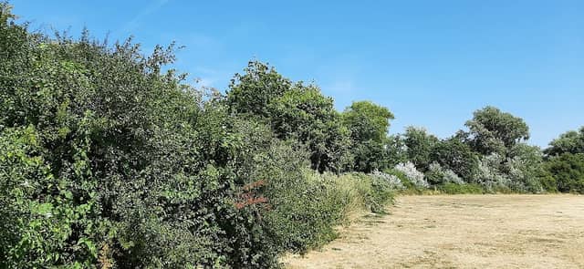 Tangier Park - Image 2
