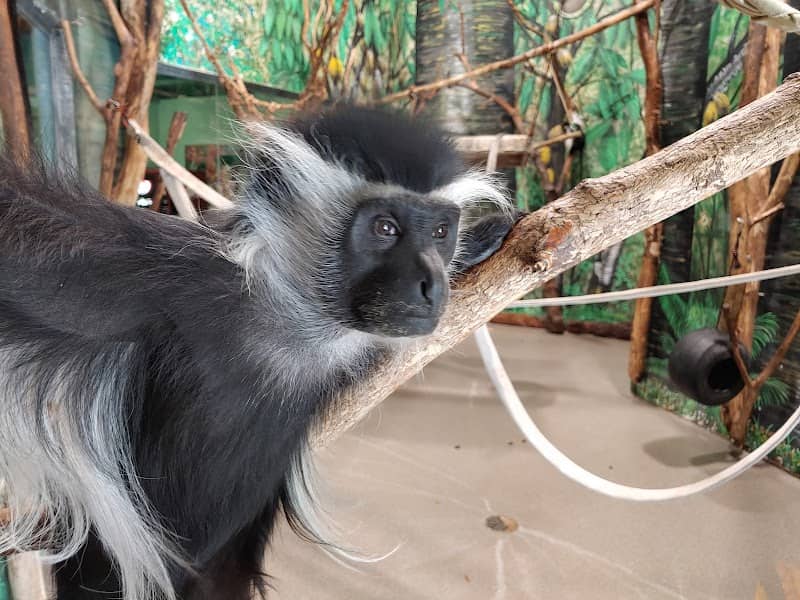 Primate Conservation Center - Image 1