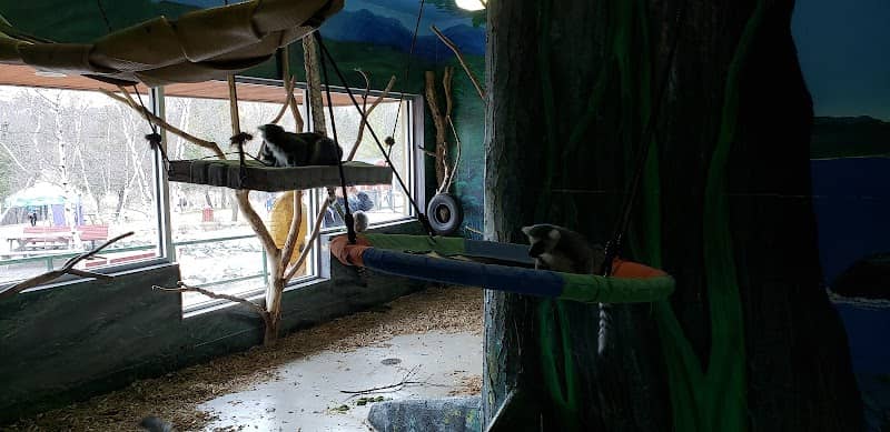 Primate Conservation Center - Image 2