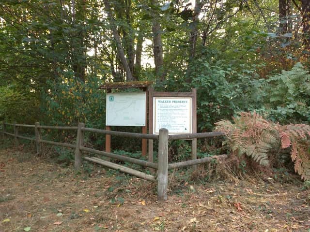 Grace M. and T.A. Wilson Park - Image 3