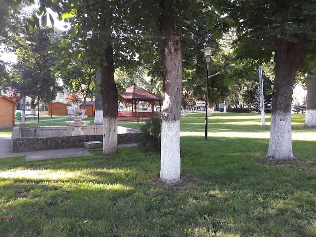 Parcul Primăriei - Image 1