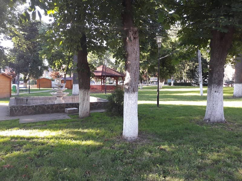 Parcul Primăriei - Image 1