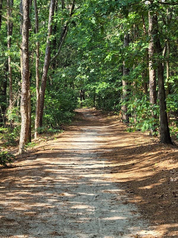 South Vineland Park - Image 1