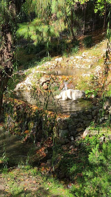 Wolf Haven - Image 2