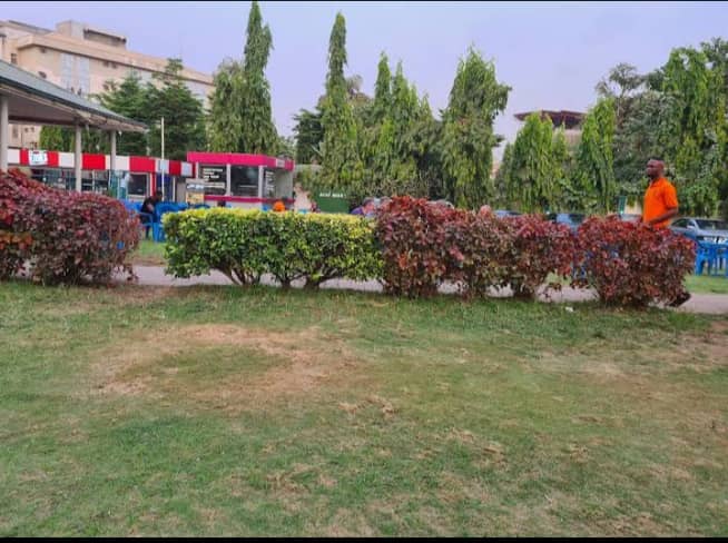 Dreams Garden n Park - Image 1