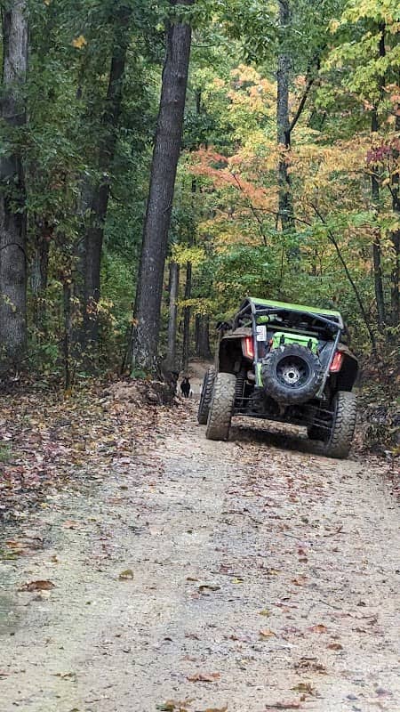 Crazy Turtle Campground - Image 3