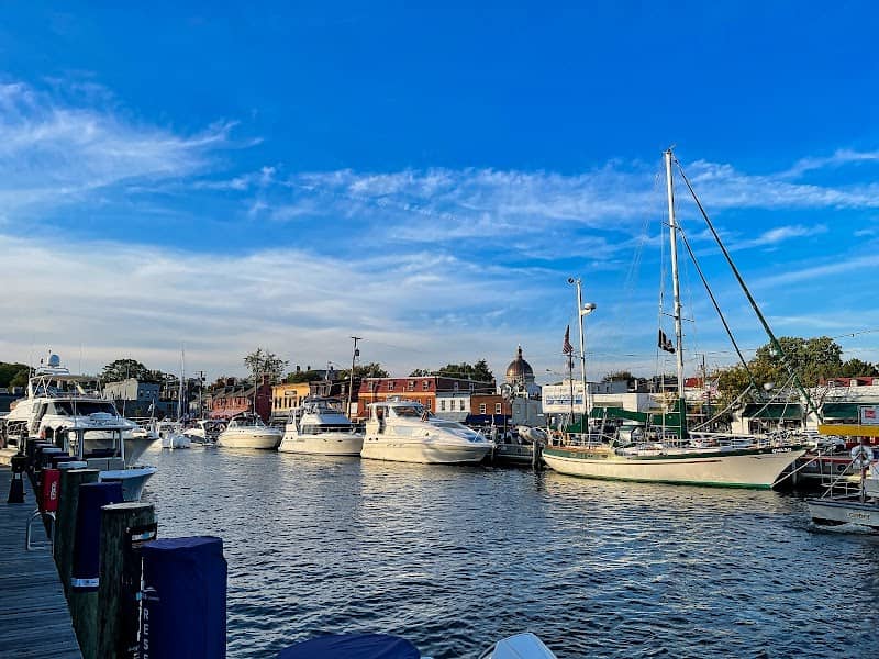 Annapolis City Dock - Image 3