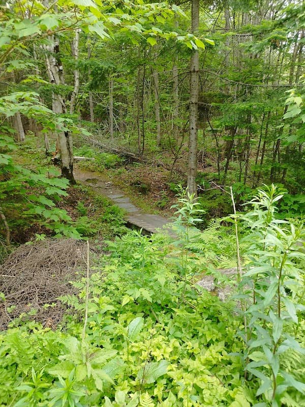 Belvédère Sentiers Madawaska - Image 2