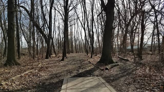Countryside Park North - Image 2