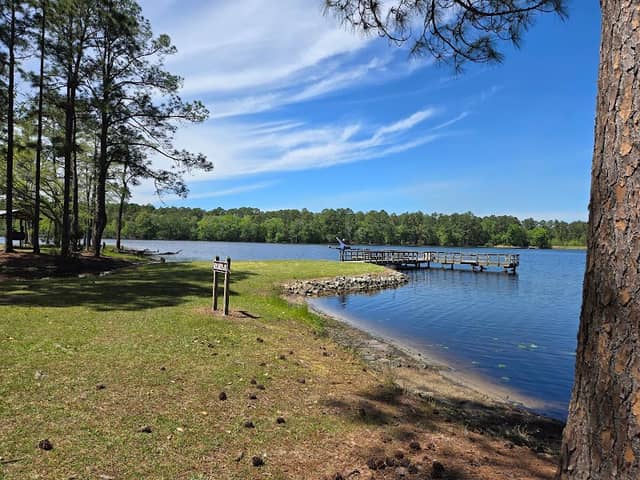 Evans County Public Fishing Area - Image 2