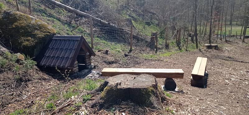 Lesní studánka Pod svatým Josefem - Image 1
