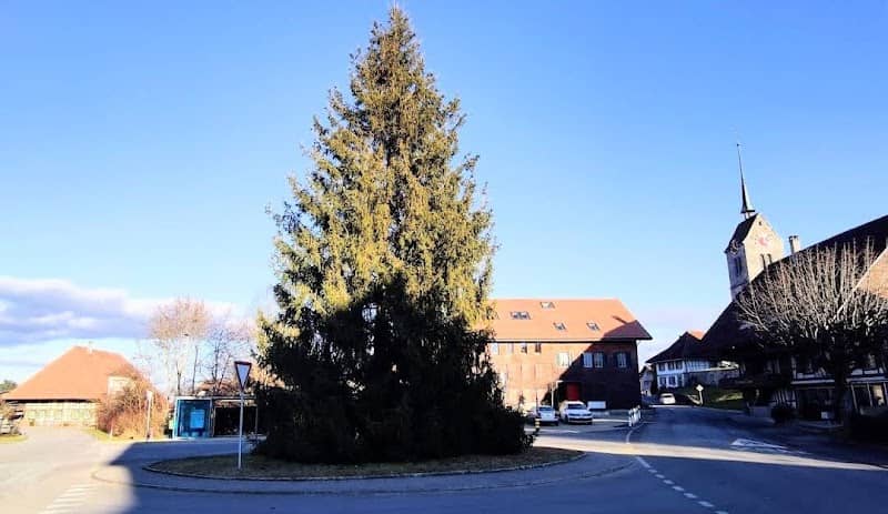 Dorfplatz Messen - Image 1