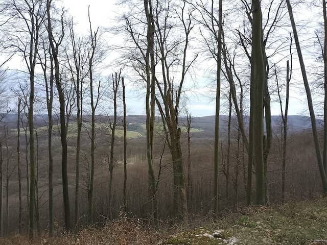 Kék-hegy - Image 1