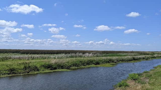 Cameron Prairie National Wildlife Refuge - Gibbstown Unit - Image 2
