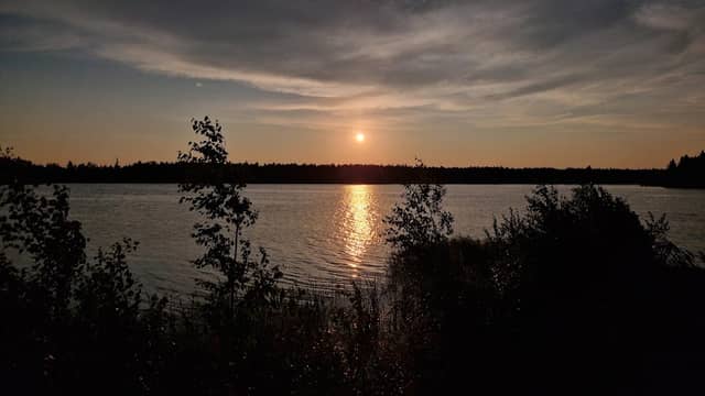 Tammemäe jarv - Image 1